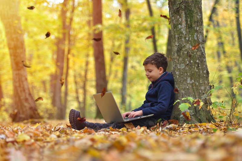 boy on laptop in the weeds with leaves falling